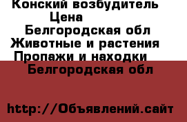 Конский возбудитель › Цена ­ 1 500 - Белгородская обл. Животные и растения » Пропажи и находки   . Белгородская обл.